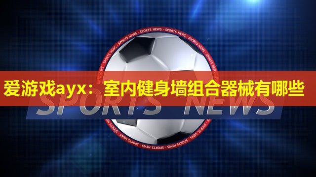 爱游戏ayx：室内健身墙组合器械有哪些